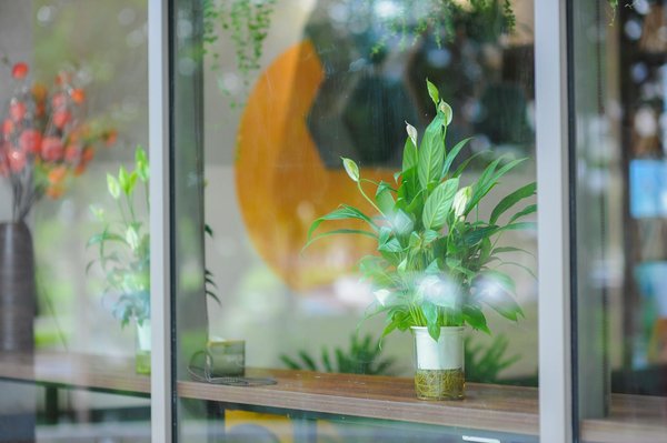 Les shampouineuses 2025 : nos coups de cœur pour un nettoyage efficace