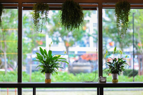 Optimisez votre recherche d'emploi avec un outil de suivi efficace